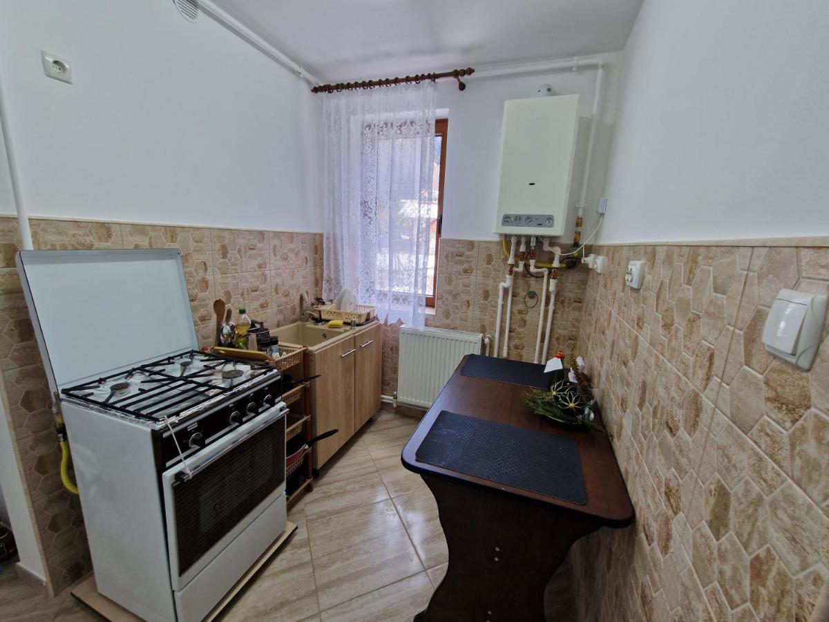 אזוגה Apartamentul Florilor De Fan מראה חיצוני תמונה