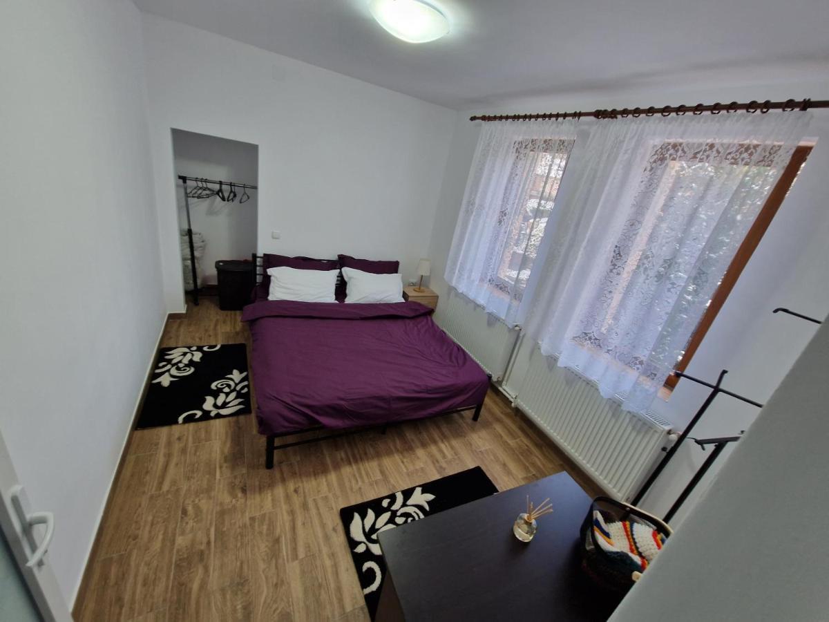 אזוגה Apartamentul Florilor De Fan מראה חיצוני תמונה