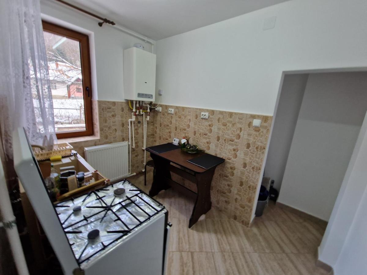 אזוגה Apartamentul Florilor De Fan מראה חיצוני תמונה